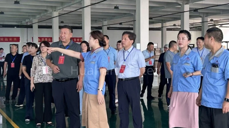 The Leaders of Weibin District Visit Huahang Filter 11 The Leaders of Weibin District Visit Huahang Filter 11